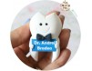 Accesoriu de masina Dintisor cu papion bleomaren si pancarta cu numele doctorului