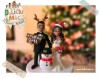 "O nunta de poveste" - figurine de tort pentru nunta in tema Craciunului