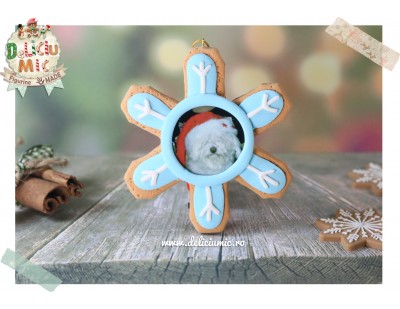 Decoratiune Rama Foto "Snowflake"
